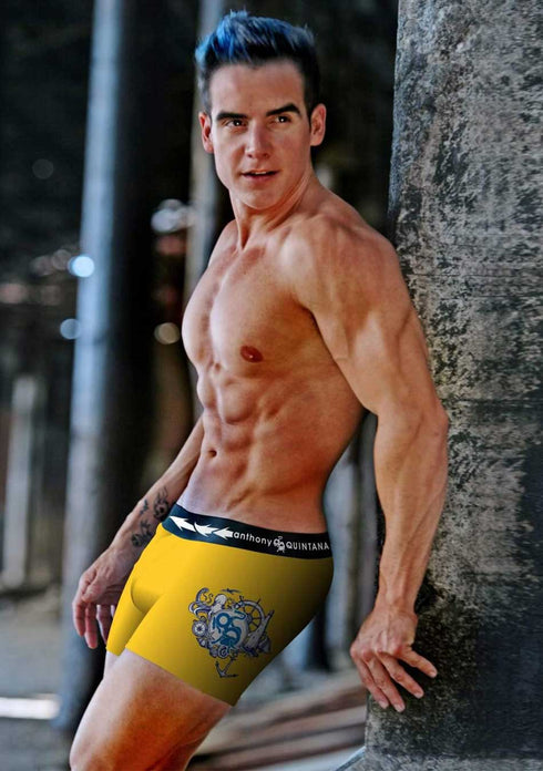 Men's AQ Trunk Men's Hybrid Collection Boxer Briefs Trunk-up Hot Pants – 3-Pack